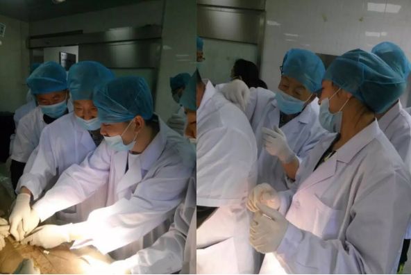 2019年（广州）脊背全息针法及腕踝奇针疗法培训班